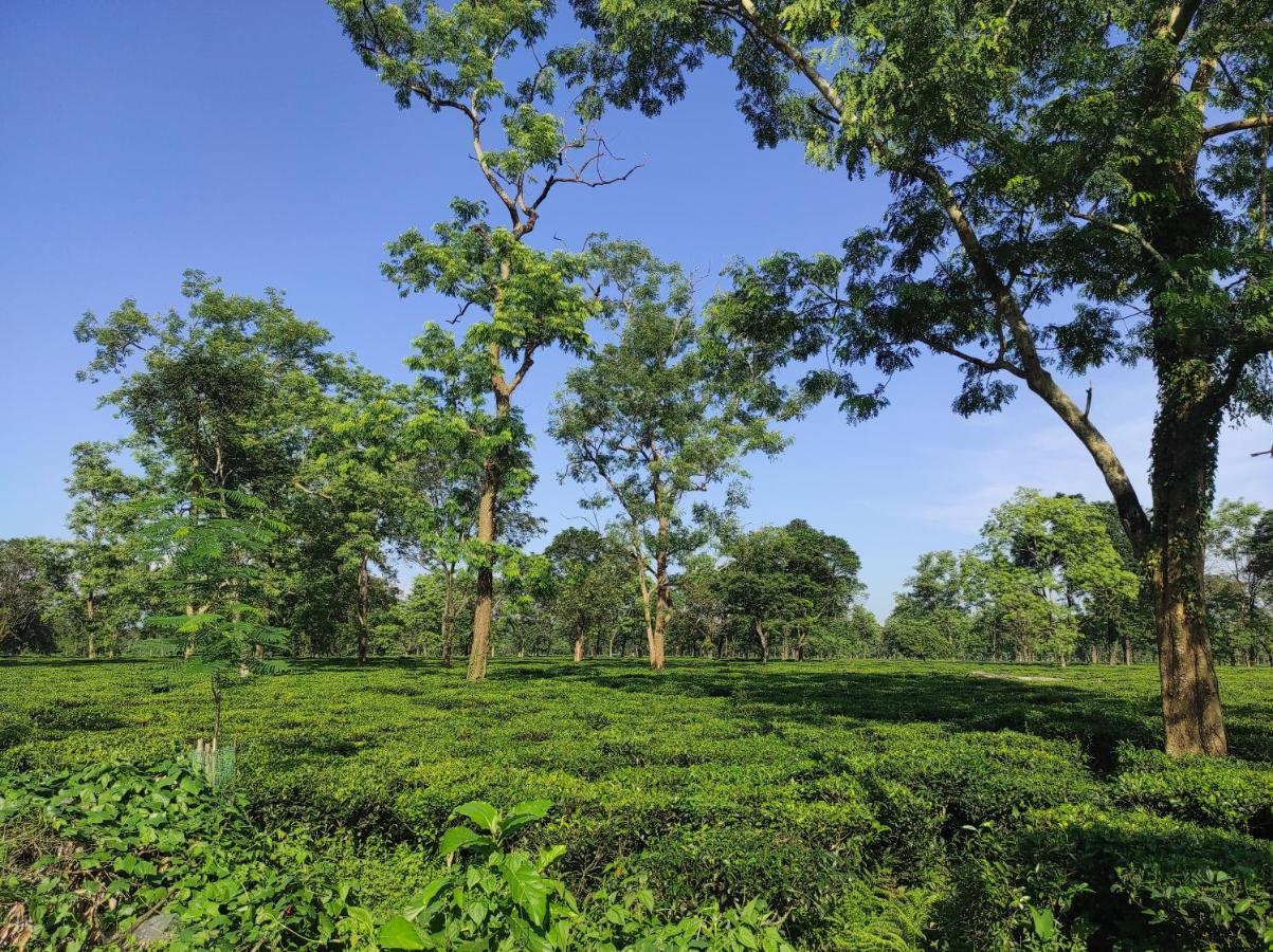 Manas Green Home Stay Jyoti Gaon Dış mekan fotoğraf